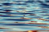 ¿Cómo contribuir a la preservación del agua?