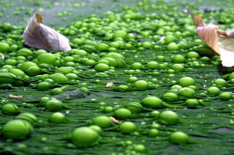 Ropa y bienes de lujo: los contaminantes sorpresa de las fuentes de agua