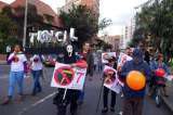Convocan caminata ante tala de árboles por Transmilenio por la Séptima