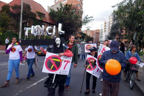 Convocan caminata ante tala de árboles por Transmilenio por la Séptima