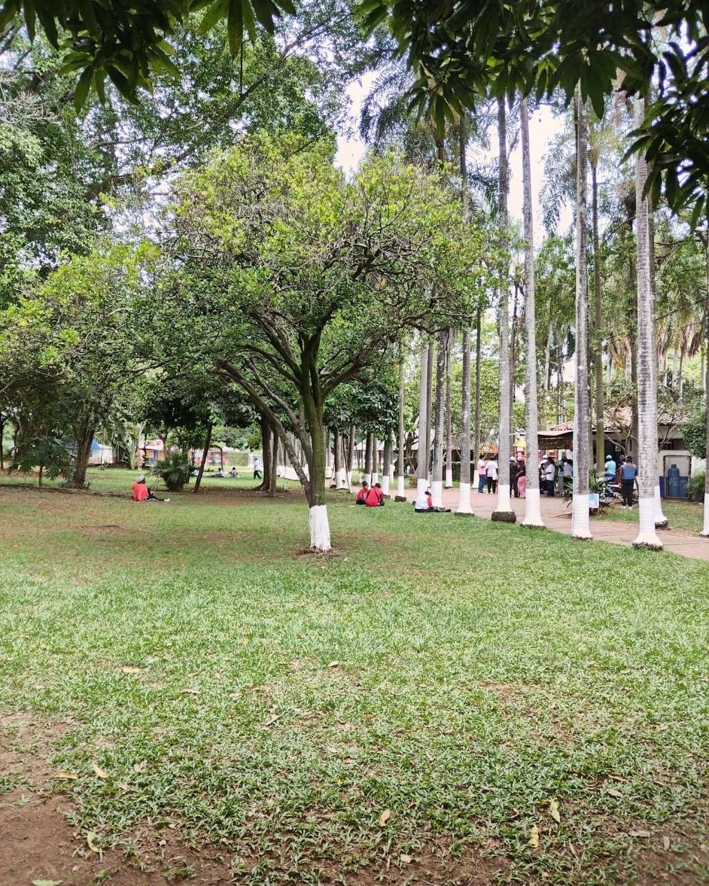 Polideportivo de la Ciudadela Comfandi, en Cali