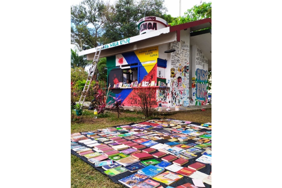 Biblioteca Nicolás Guerrero, ubicada en el barrio Metropolitano del Norte.