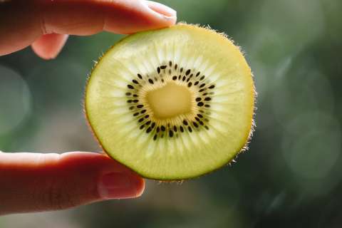 Kiwi: estas son las propiedades de esta fruta