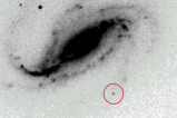 Aficionado captura por azar y por primera vez el nacimiento de una supernova