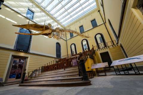 El Museo Nacional de Brasil reabre parcialmente siete años después del incendio