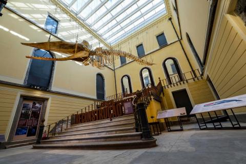 El Museo Nacional de Brasil reabre parcialmente siete años después del incendio