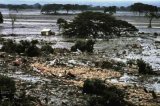 30 años en busca de los niños perdidos de Armero