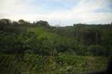 Por qué insisten en establecer una zona veredal en Caño Indio