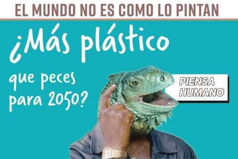 El mundo no es como lo pintan: ¿Más plástico que peces para 2050?