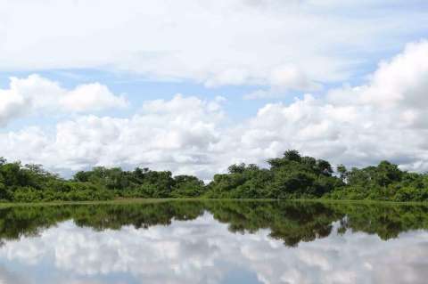 Ciénagas en Nechí y Caucasia (Antioquia), nuevas áreas protegidas