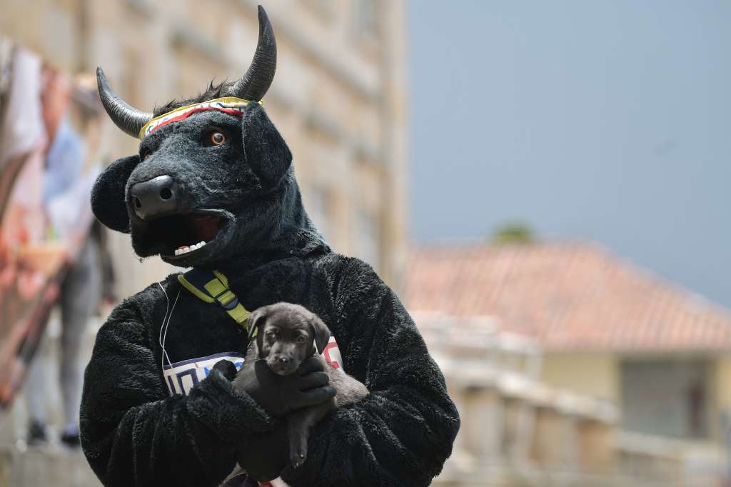 Varios colectivos animalistas se reunieron frente al Congreso de la República para realizar un plantón a favor del proyecto de ley No 85 que prohíbe las peleas de gallos, las corridas de toros y las corralejas