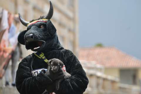 Este municipio reemplazó los animales de las corralejas por personas disfrazadas