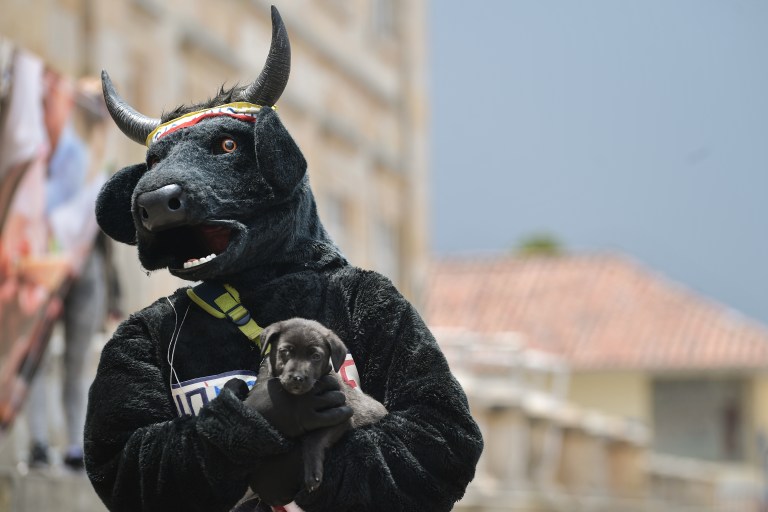 ¿Corralejas sin toros? Esta es la innovadora propuesta de un municipio en Bolívar