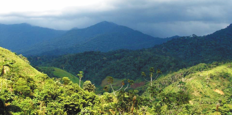Parque Natural Municipal Natural La Resaca, en el sur de Caquetá./ Fundación Tierra Viva