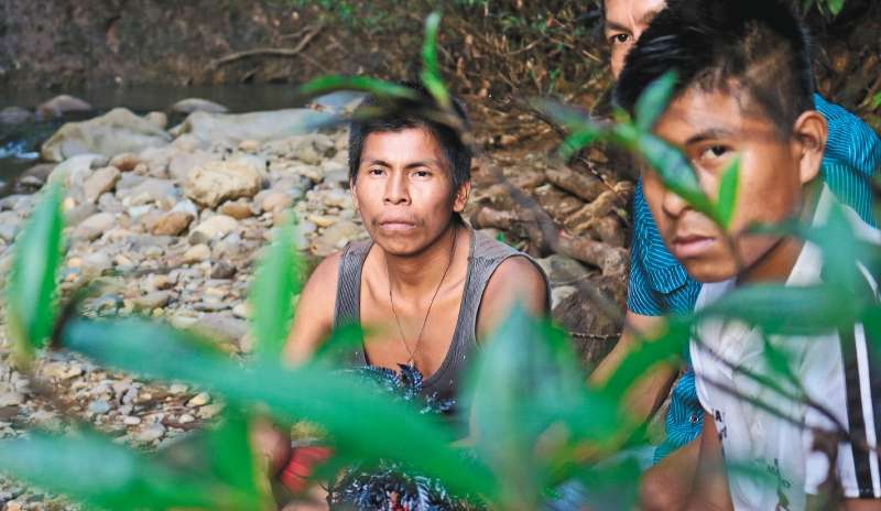 En el 2021, se han registrado por lo menos 18 asesinatos a indígenas, según la ORIPAP. Foto Sergio Silva