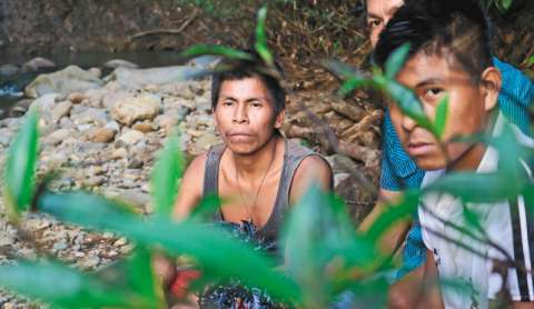 Asesinan a miembro de la guardia indígena de la comunidad awá en Tumaco