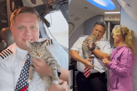Piloto rescata y adopta a uno de los animales que transportaba tras los huracanes
