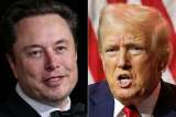 Patrimonio neto de Elon Musk supera cifra histórica después de victoria de Trump