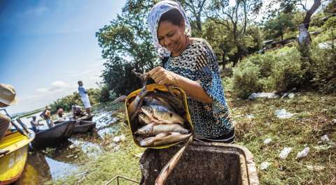 La “app” con la que pescadores ayudarán a cuidar la cuenca del Magdalena