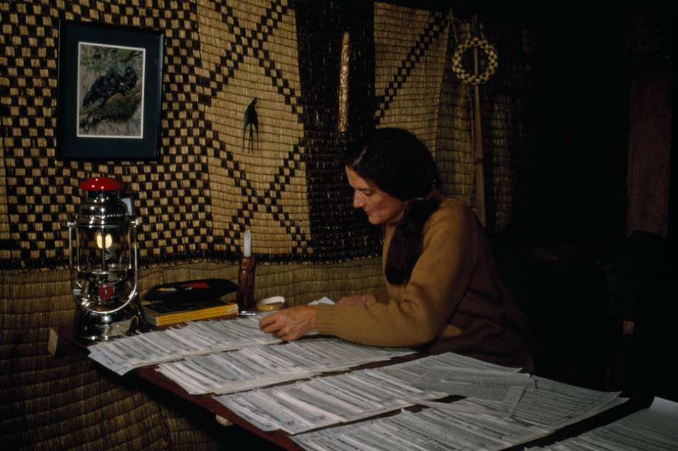 Dian Fossey fue asesinada en su cabaña del Parque de los Volcanes (África) el 26 de diciembre de 1985. / Cortesía National Geographic