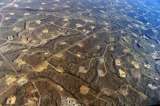 Expertos internacionales piden la prohibición del fracking en Colombia