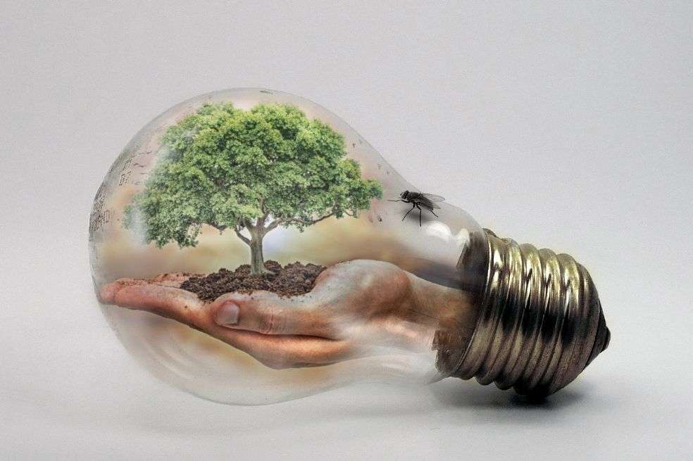 Cambio climático