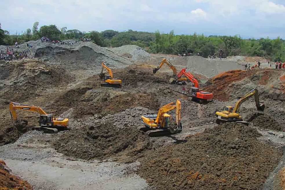 Los tiempos de restauración de los bosques son muy lentos. / Unimedios