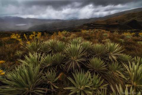 Agua al límite: la paradoja de la abundancia y la escasez en  Colombia