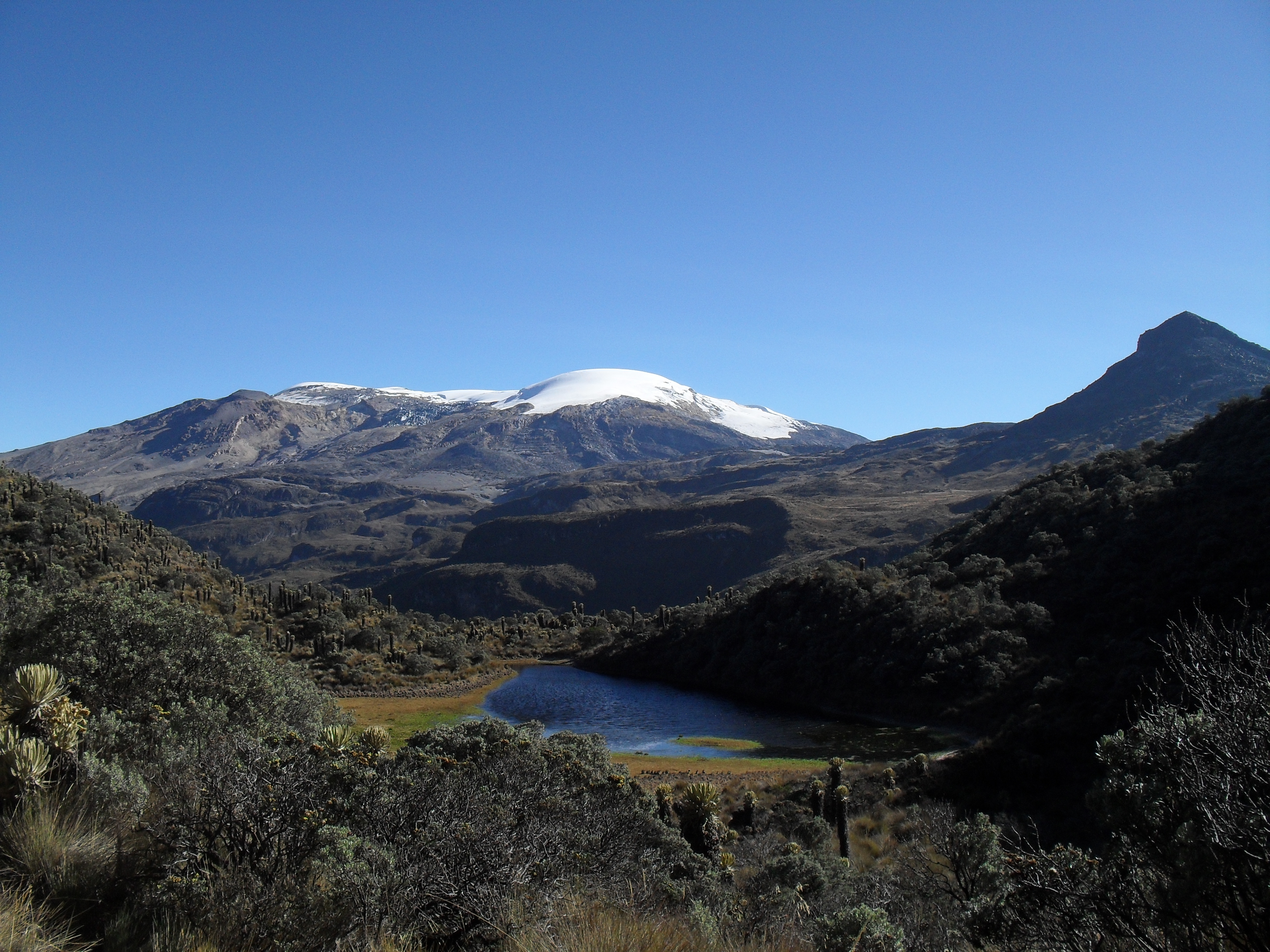 En el parque Los Nevados cuenta además, con zonas de bosque alto-andino y páramo.