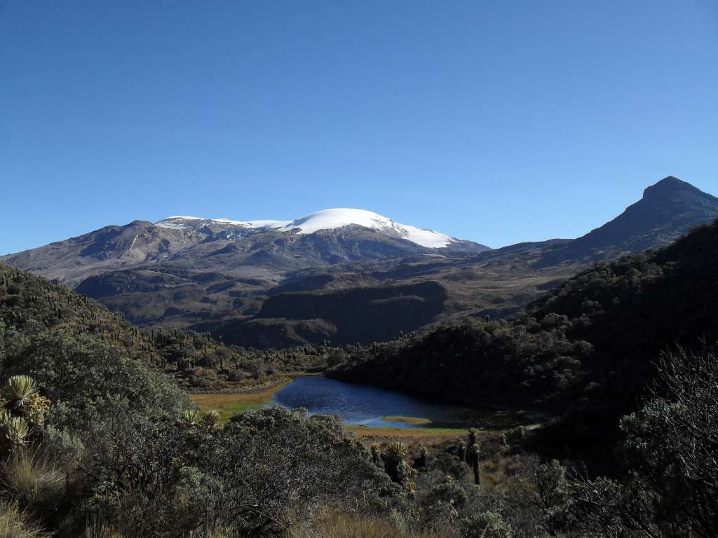 En el parque Los Nevados cuenta además, con zonas de bosque alto-andino y páramo.