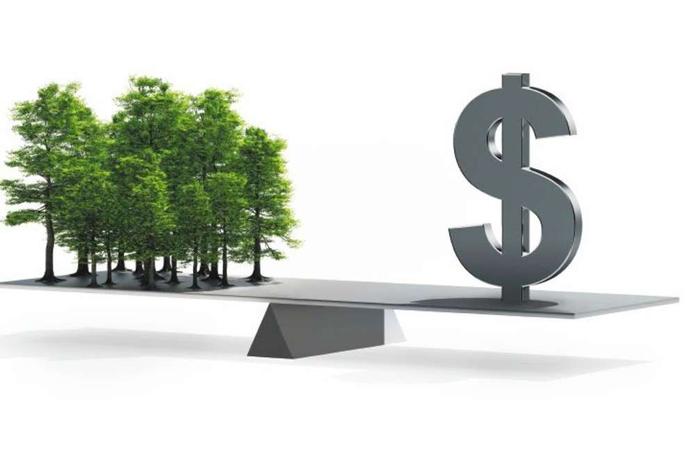 La bioeconomía puede ser un nuevo motor de crecimiento empresarial llegando a constituir el 10% del PIB colombiano en 2030.