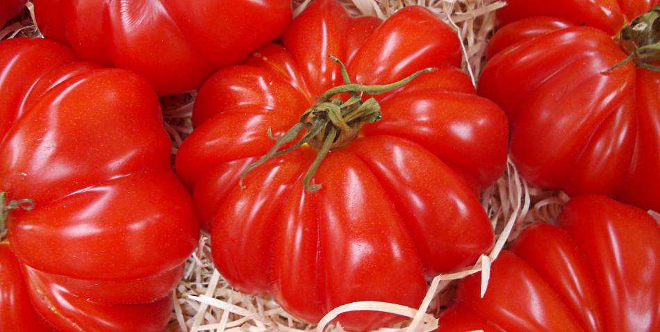 Siete beneficios del jugo de tomate