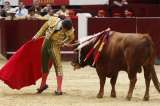 Más de 917.000 bogotanos deben salir a votar No para acabar corridas de toros
