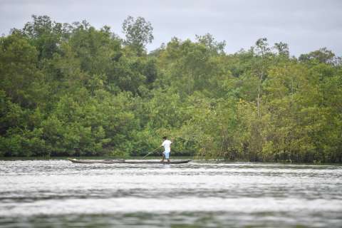 COP16: solo 10 % de los países han publicado planes para proteger la biodiversidad