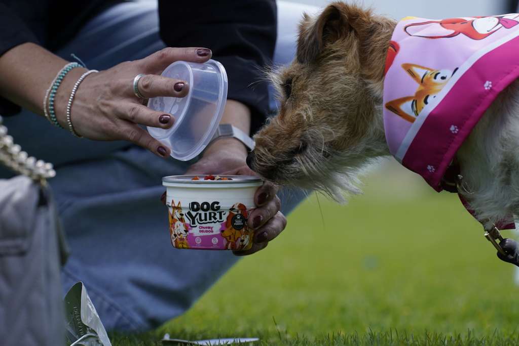Este snack solo lo podrán consumir perros adultos.