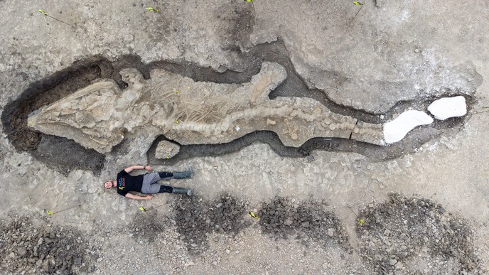 Encuentran fósil de “dragón marino” en Reino Unido