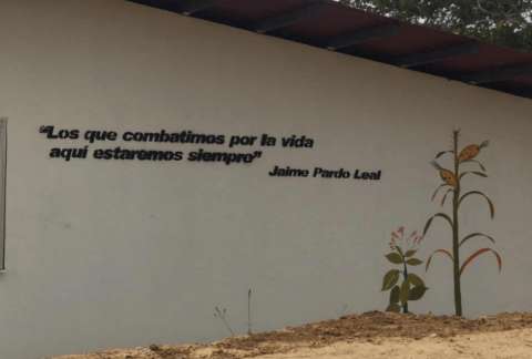 La lucha por la vida: dos años construyendo un espacio para la paz en Icononzo