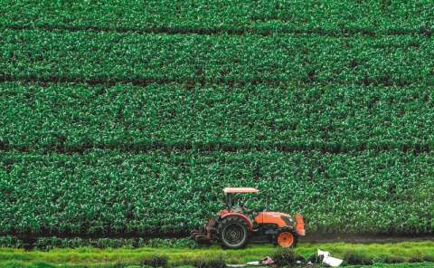 ¿Cuál es la transformación que necesita el campo?