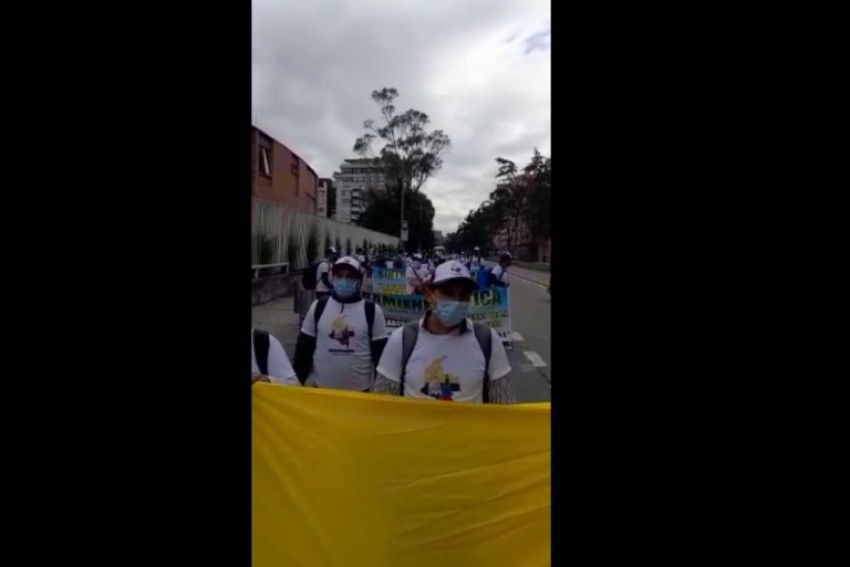 Extrabajadores de la multinacional Minesa marcharon en Bogotá