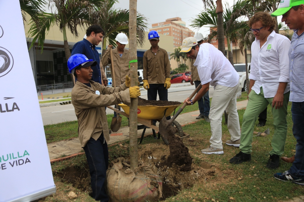 El proyecto Siembra Barranquilla espera cultivar en la ciudad un total de 250.000 árboles. /Cortesía