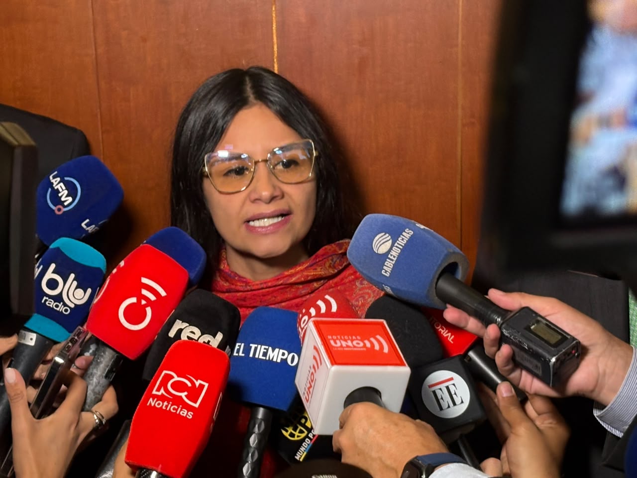 Angie Rodríguez en la Comisión de Acusaciones.
