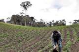Gabinete ministerial se traslada a los territorios PDET