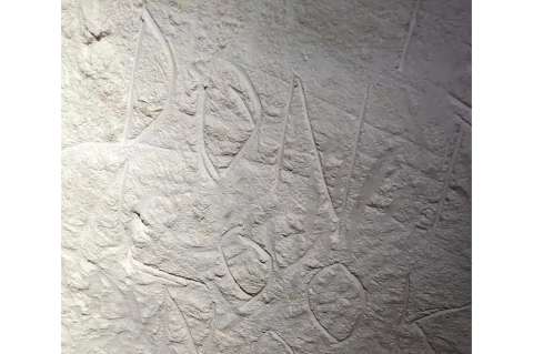 Destruyen dibujos rupestres indígenas de 30.000 años de antigüedad
