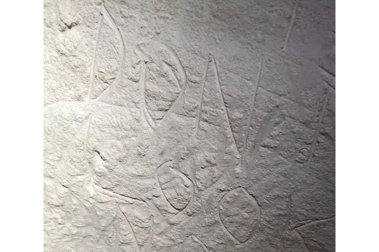 Destruyen dibujos rupestres indígenas de 30.000 años de antigüedad