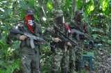 Hacia un nuevo cese del fuego con el Eln
