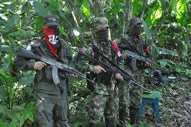 Hacia un nuevo cese del fuego con el Eln
