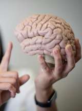 Las proteínas de la sangre ofrecen pistas sobre el envejecimiento cerebral