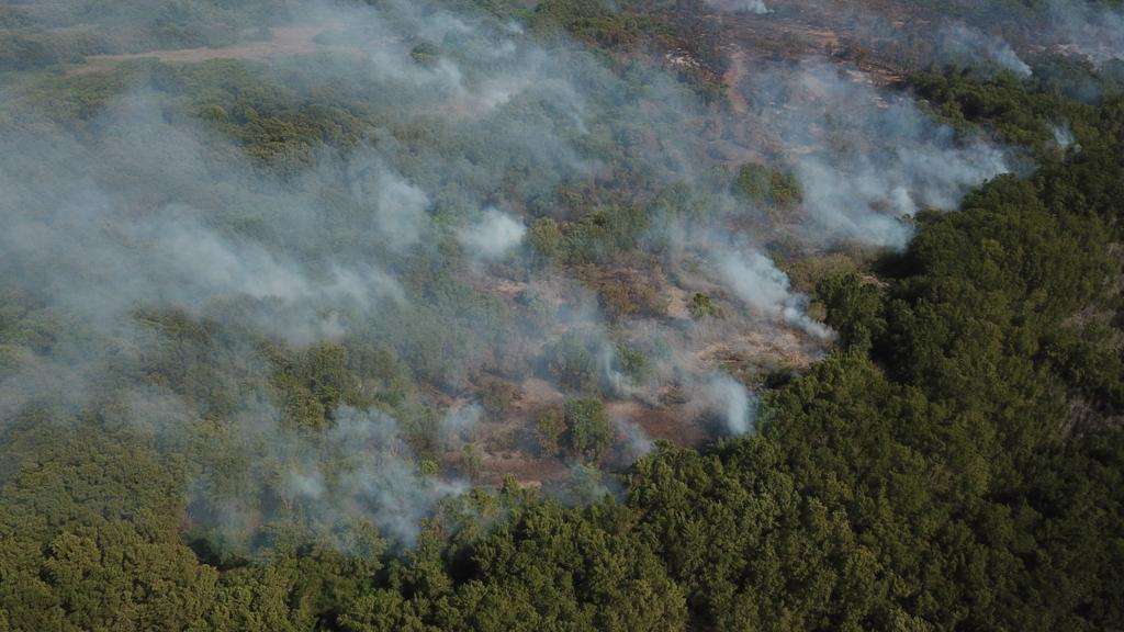 Incendio en Vía Parque Isla Salamanca