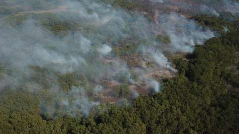 Alcaldía de Barranquilla presenta plan para frenar incendios en isla reserva de la biosfera