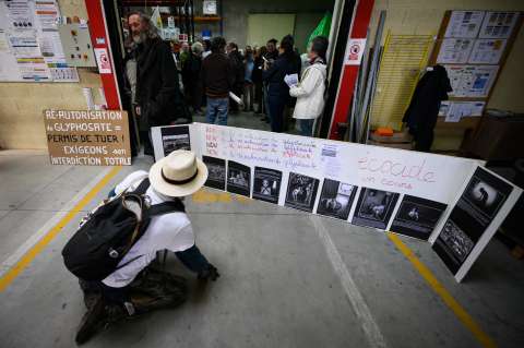 Comisión Europea renovará autorización del uso del glifosato por 10 años